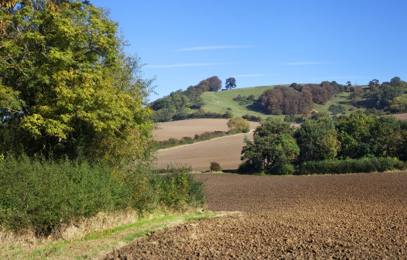 Fewer acres coming to market are propping up farmland values across England.