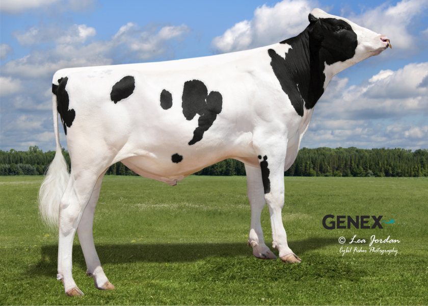 Peak Powerhouse leads rankings as dairy farmers chase milk solids gains