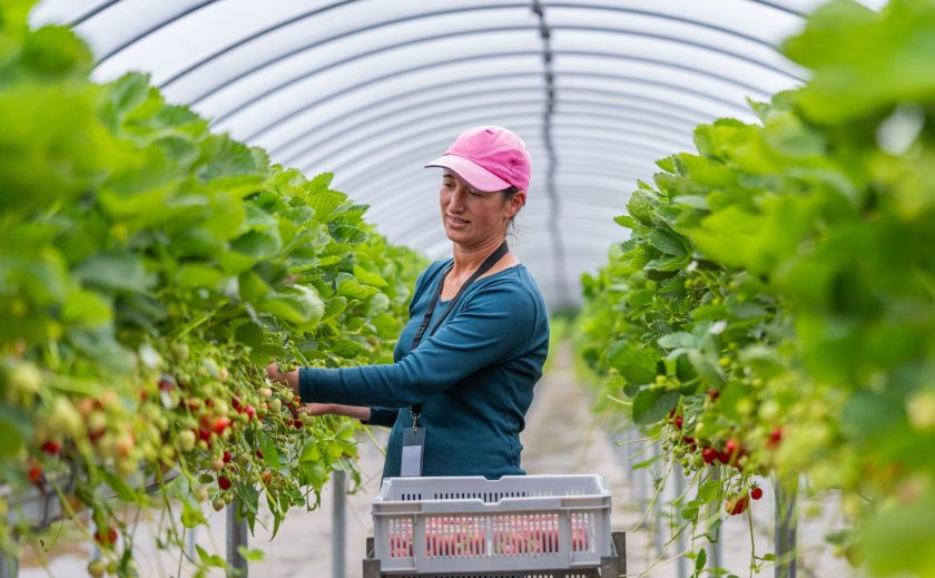Thousands of farm and food businesses risk missing out as investment in the sector falls
