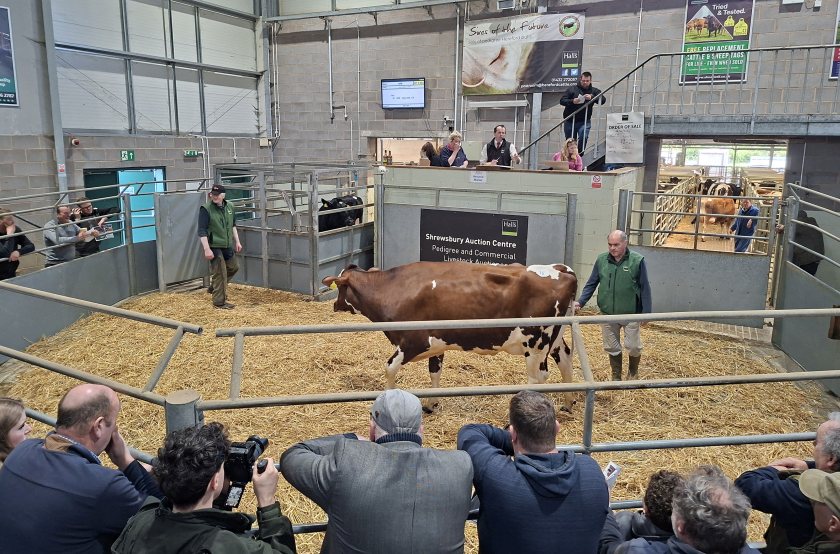 Livestock sales turn into lifeline for cancer charity at special market day