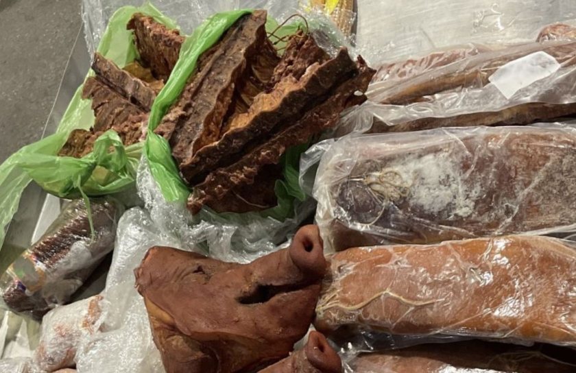 Record seizures highlight growing pressure on UK biosecurity checks (Photo: Dover Port Health Authority)