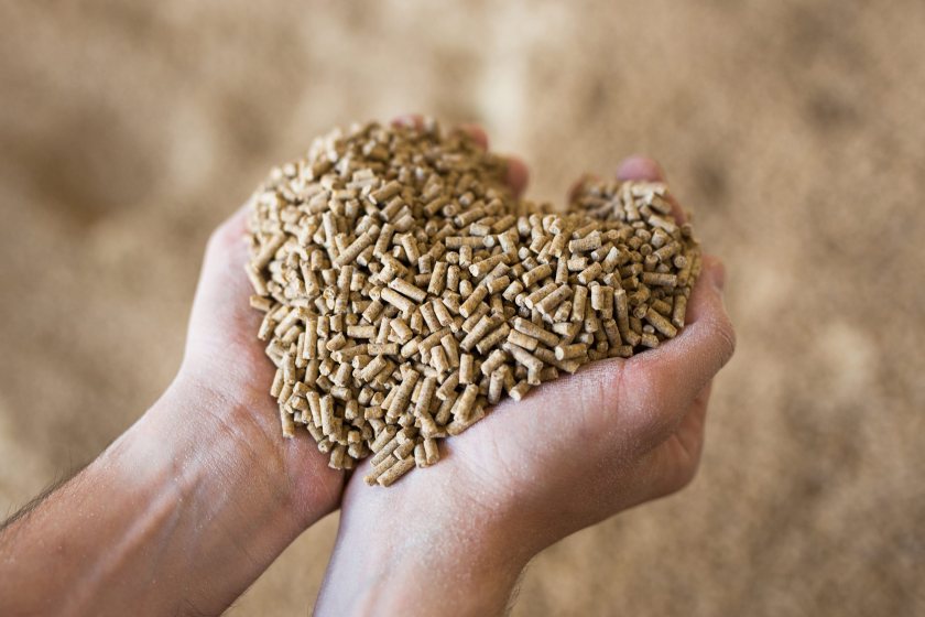 The deal brings together two specialists in performance-driven animal nutrition