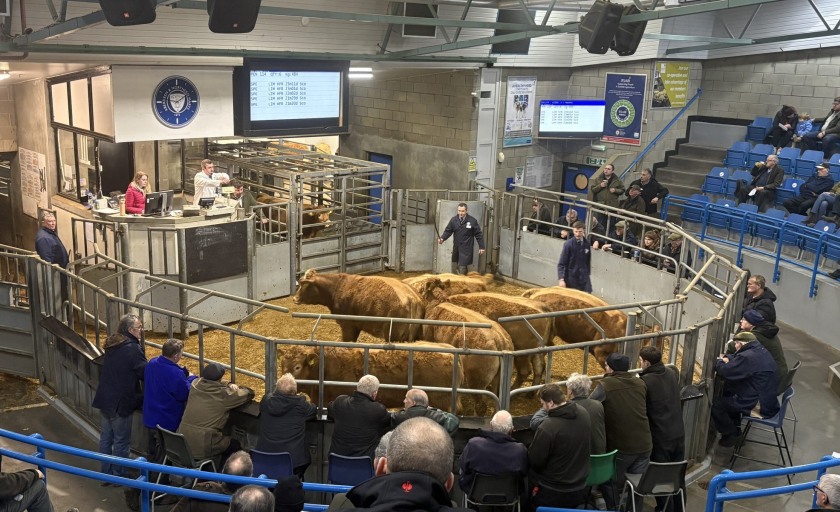 Scottish farmer co-op pays £265k in dividends after profits surge