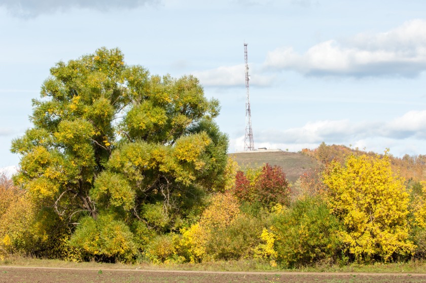 Rural landowners are being warned over new tactics used in telecoms mast lease negotiations