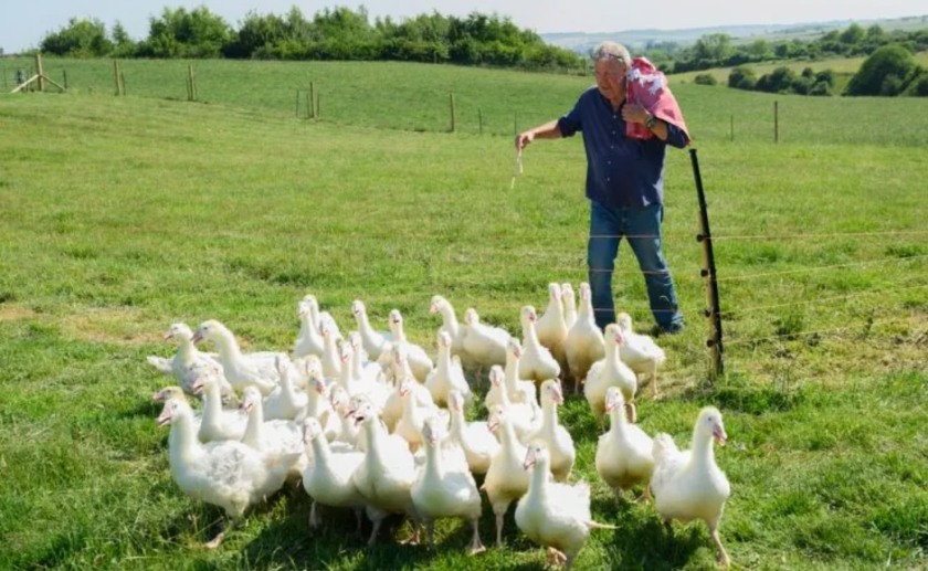 Jeremy Clarkson is set to make major changes as pressures mount on the farm (Photo: Prime Video)