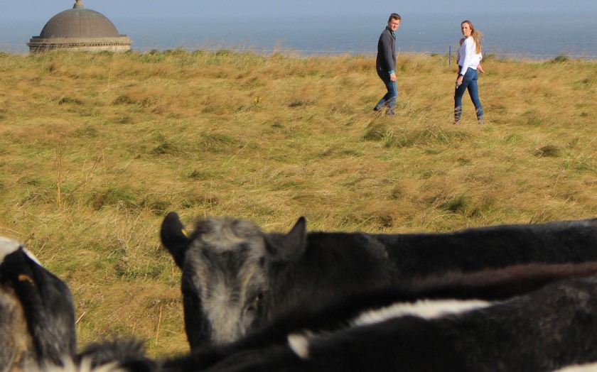 Interest-free loans of up to £25,000 are now available to support organic and agroecological farms
