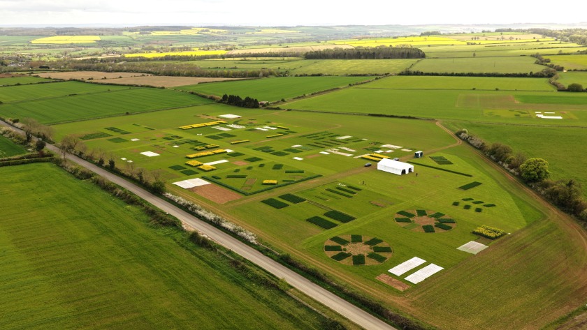 Crop plots in focus as Cereals heads to the Cotswolds