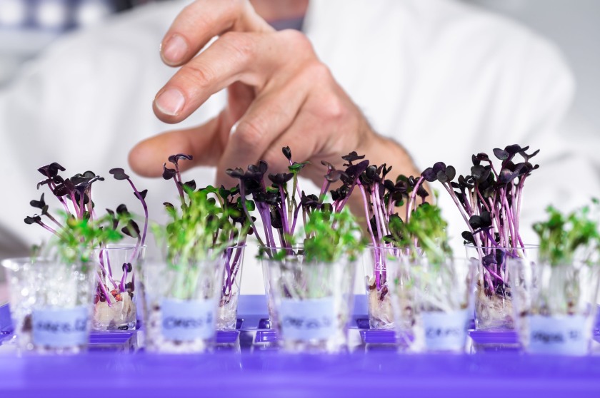 NFU Cymru warns Wales could lose ground without access to gene editing