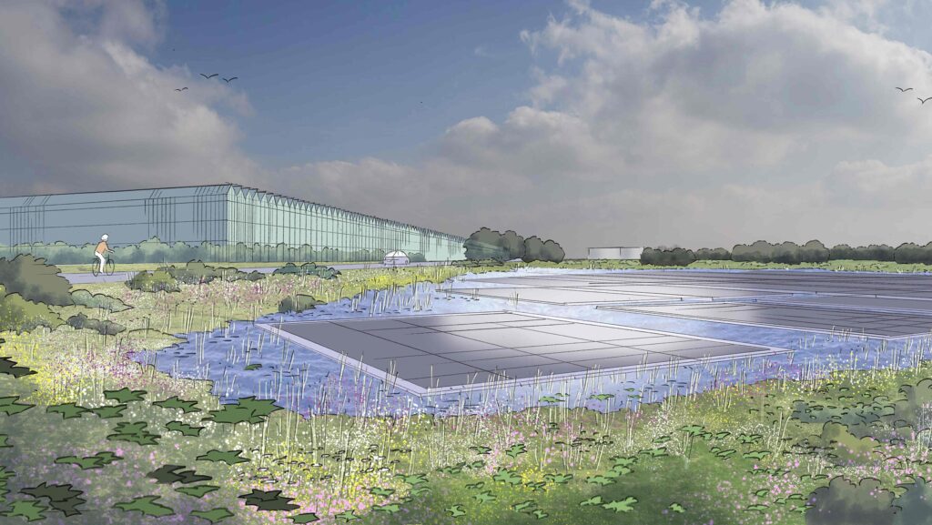 (Photo: Rivenhall Greenhouse)