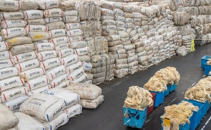 Average wool payments to farmers rose by around 70% year-on-year (Photo: British Wool)