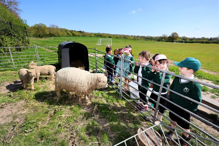 Children took part in hands-on farming lessons through the initiative
