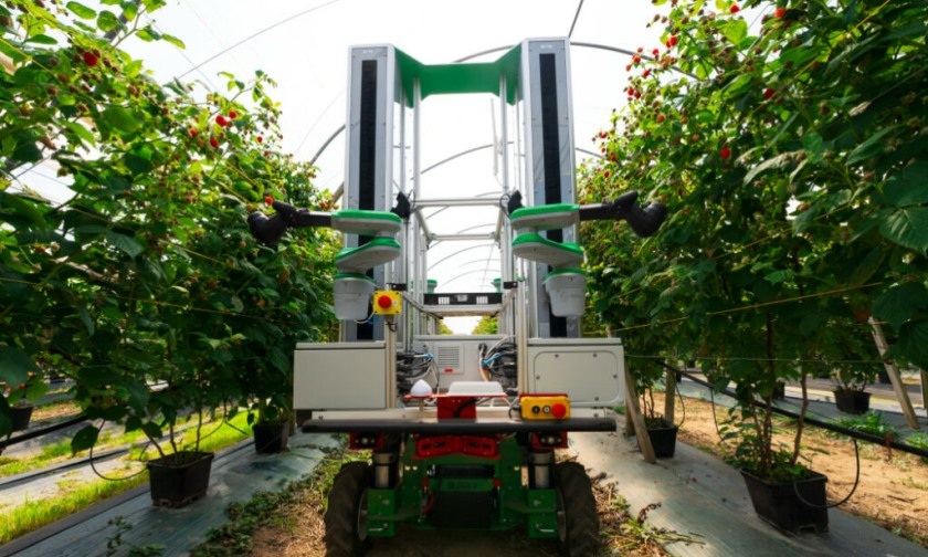 Harvesting technology is being trialled in Norfolk and Staffordshire (Photo: Fieldwork Robotics)