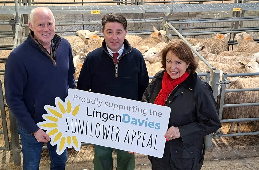 Funds raised will support the £5 million Sunflower Appeal to build a new cancer centre