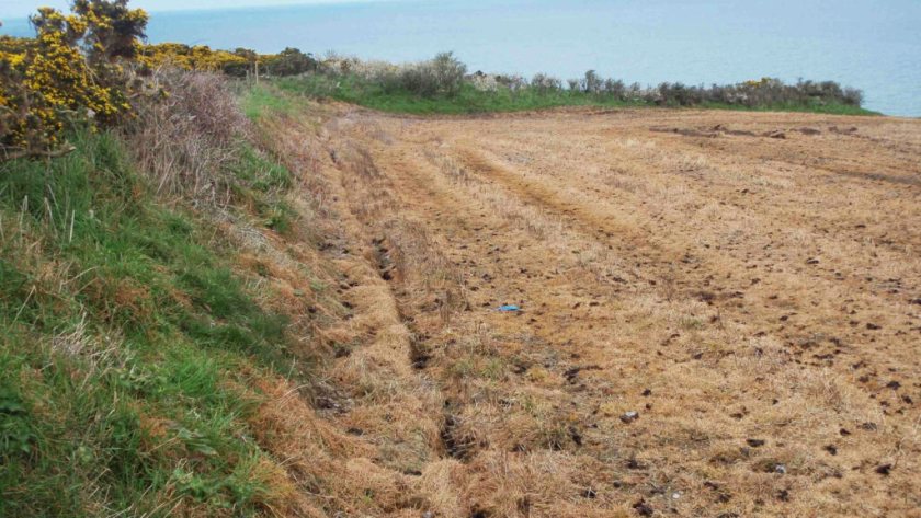 A court imposed a 10-year restoration order aimed at helping the damaged wildlife site recover
