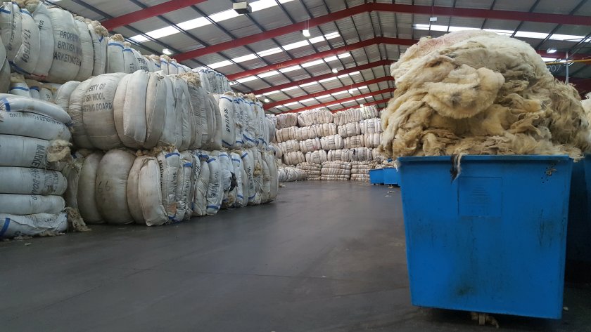 The wool market recovery follows years in which many fleeces failed to cover shearing costs (Photo: British Wool)
