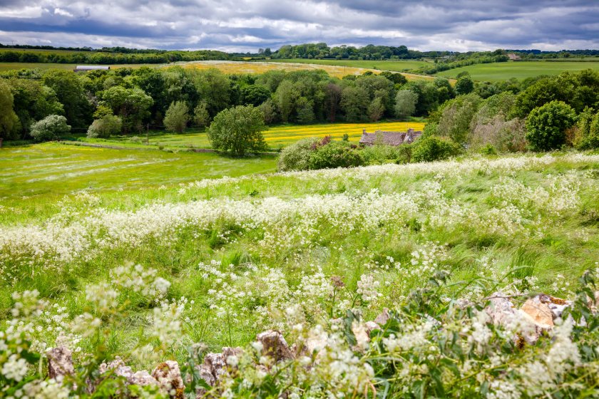 Farms must prioritise soil health and biodiversity to remain resilient and profitable, a new report says