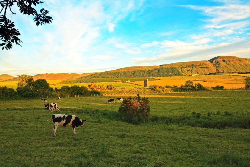 Farmers are seeking clarity on future agricultural support following the Scottish Government reshuffle