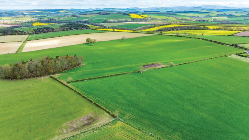 The 1,704-acre estate has been put up for sale for the first time in a century (Photo: Savills)