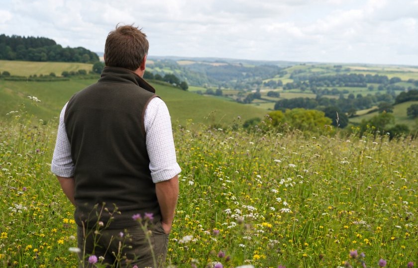 The £30m fund will support the creation and restoration of wildflower meadows, wetlands and native woodlands