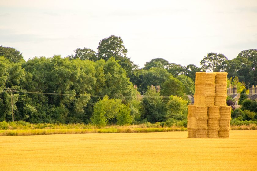 The award supports postgraduate students carrying out research linked to the future of UK agriculture