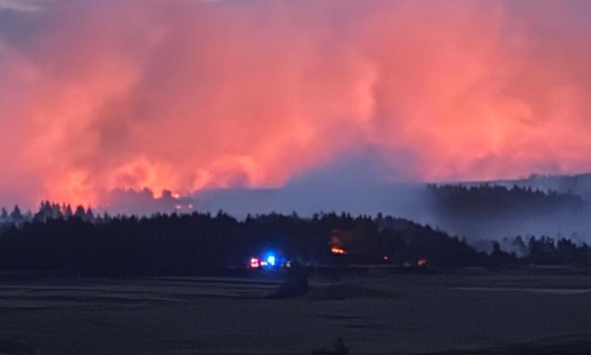 The Carrbridge and Dava wildfire burned an estimated 29,225 acres in Strathspey last year