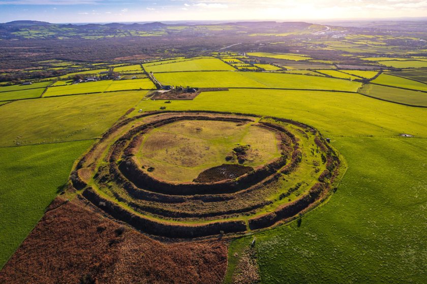 Conservation grazing will remain central to managing parts of the new reserve (Photo: Cornwall Heritage Trust)