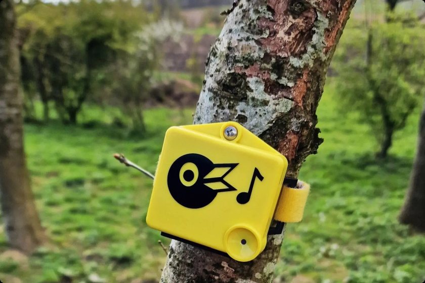 Acoustic devices were deployed on broiler and pig farms to record birdlife over a 21-day period
