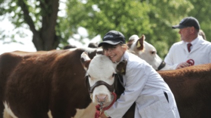 The show has attracted a record number of livestock entries for 2026