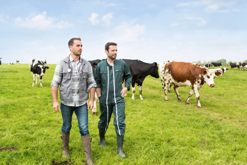 Rural and large-animal vet shortages remain a serious concern for the farming sector