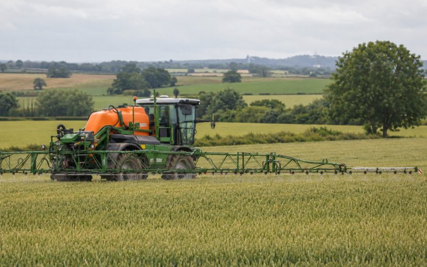 Growers say any policy change must recognise the role glyphosate plays in weed control and crop planning