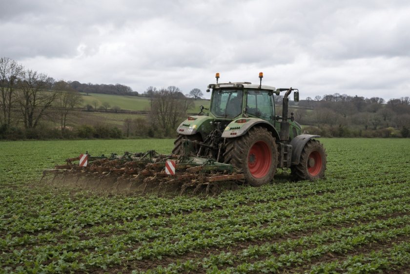 Farmers For Action says farmers can produce both food and fuel if they are paid fairly at the farmgate