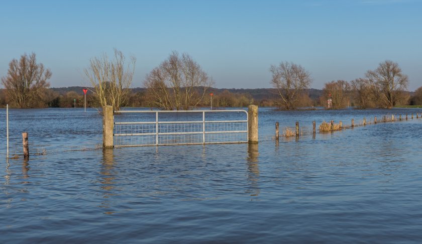 Government announces £50m flood package for Somerset farms