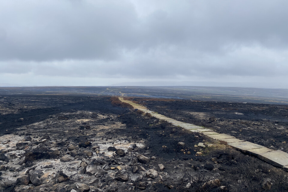 Farmers praised as North York Moors wildfire recovery gets £3.2m boost