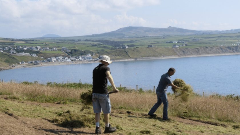 The restored meadows have helped improve livestock health while supporting pollinators and wildlife