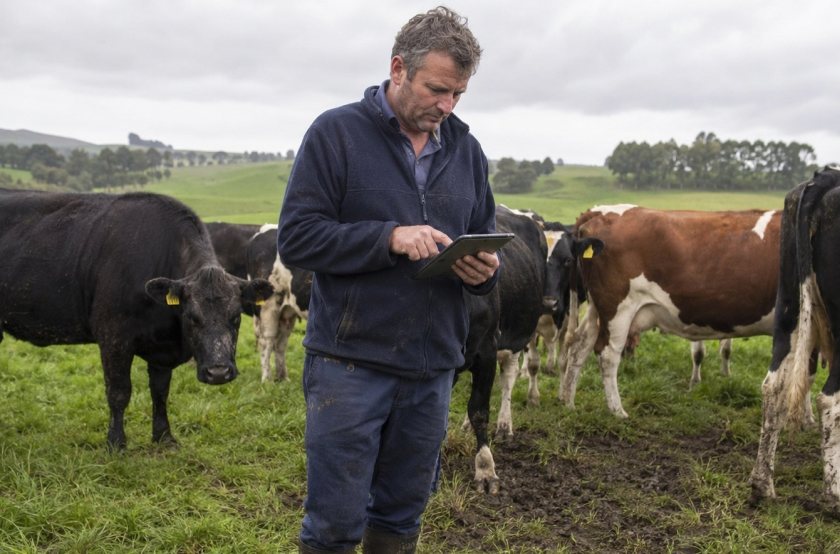The firms will trial their technologies on New Zealand farms through the Global Growth Accelerator programme