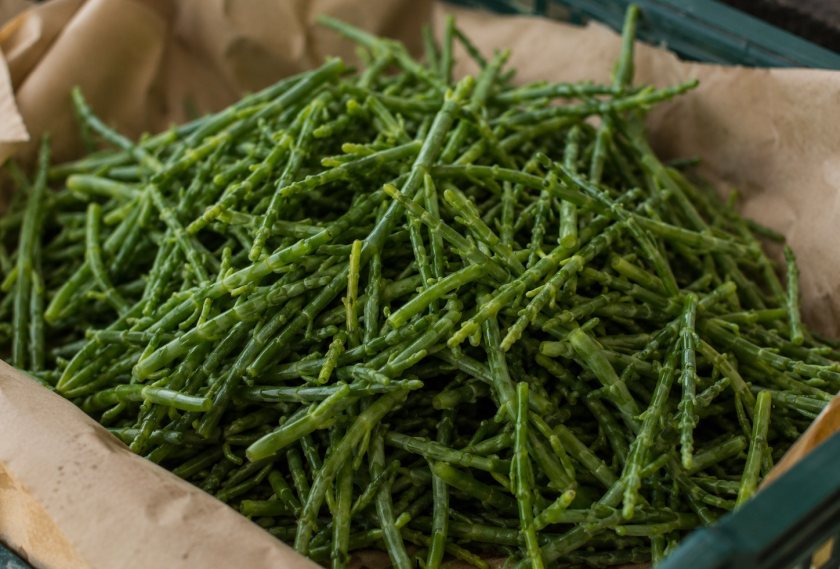 British samphire has traditionally been available for only around 12 weeks of the year