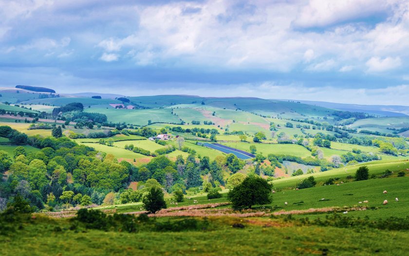 The Farm Health Check is designed to help farmers improve climate resilience, biodiversity and crop production