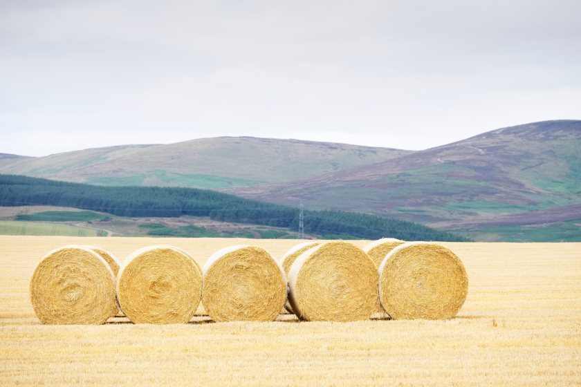 The report says more value from Scottish agriculture should remain in rural communities