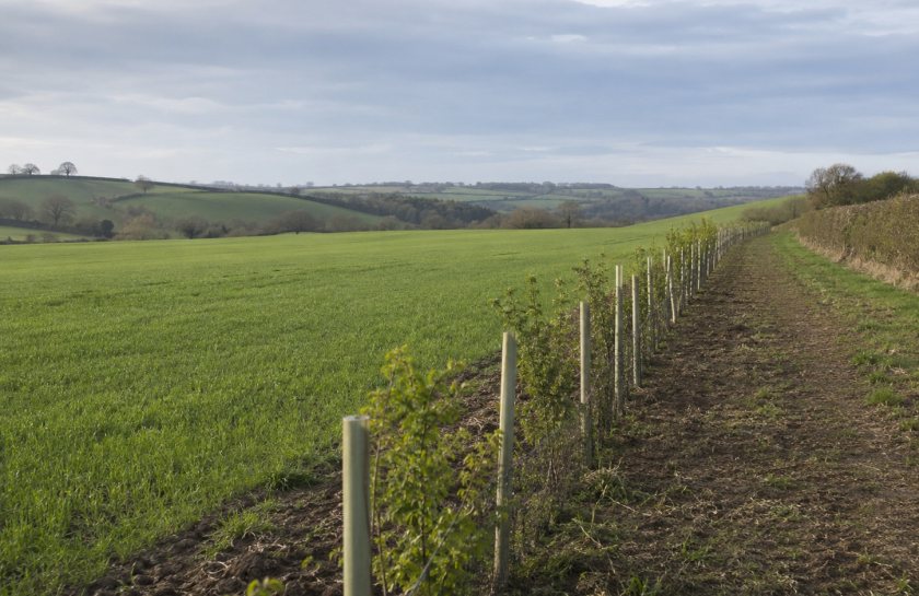 Nearly 500 farm businesses are receiving payments for biodiversity work completed under the scheme