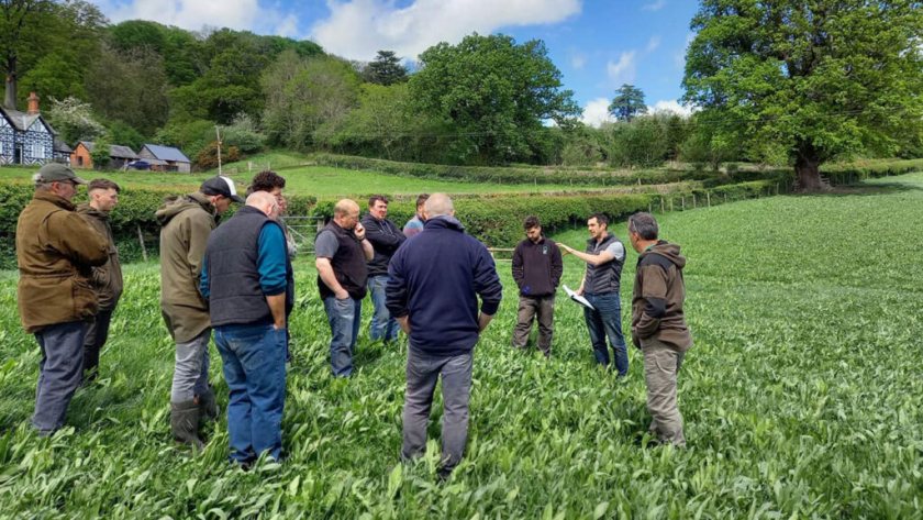 The Our Farms Network initiative will support short-term, farmer-led trials across Wales (Photo: Farming Connect)