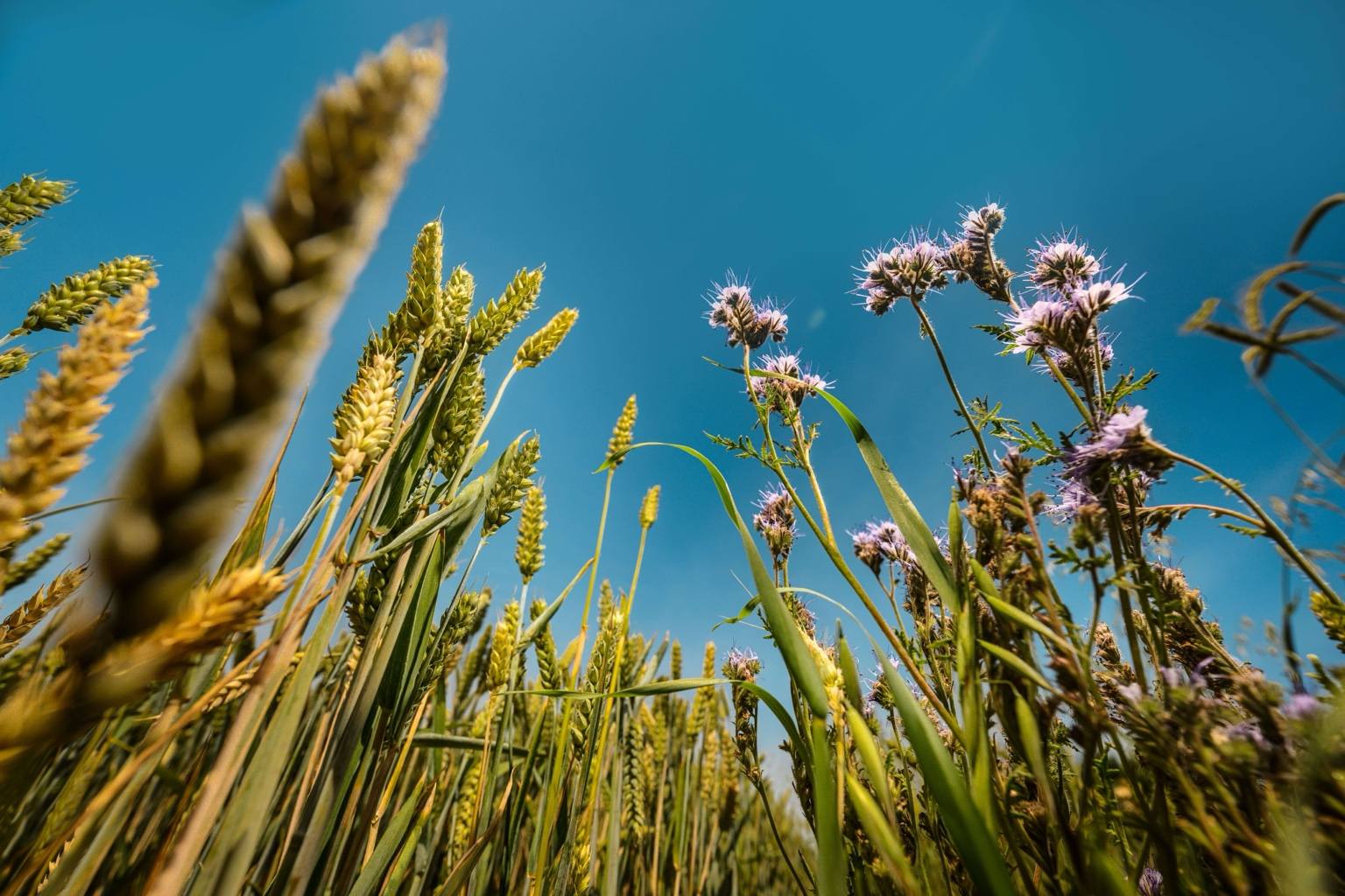 The initiative is aimed at helping farmers make regenerative changes commercially viable