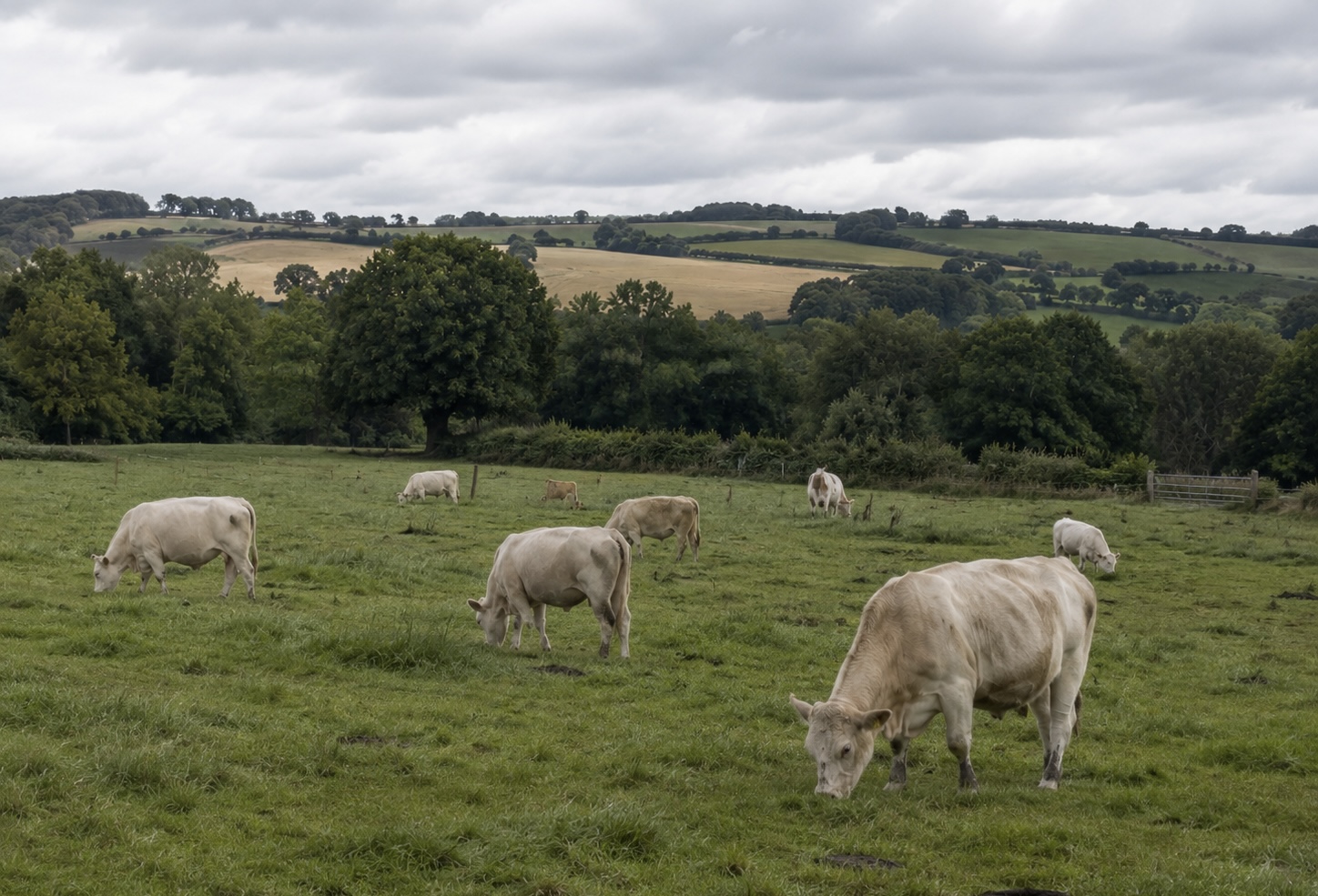 The Duchy aims for all equipped farms across the estate to follow regenerative principles by 2035