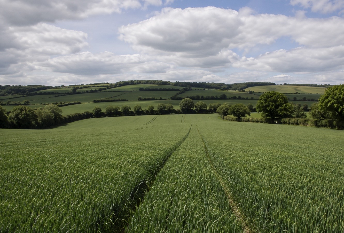The first SFI26 funding window has seen strong early demand from farmers