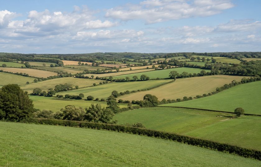 Window 2 of the Sustainable Farming Incentive 2026 is expected to open in September