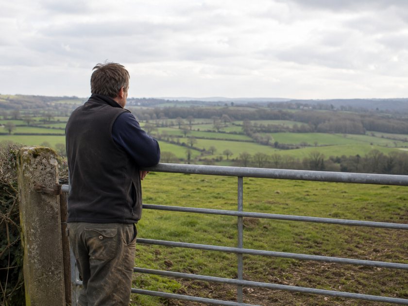 The CAAV says the roadmap should prompt farms to make tough decisions about the future of their businesses