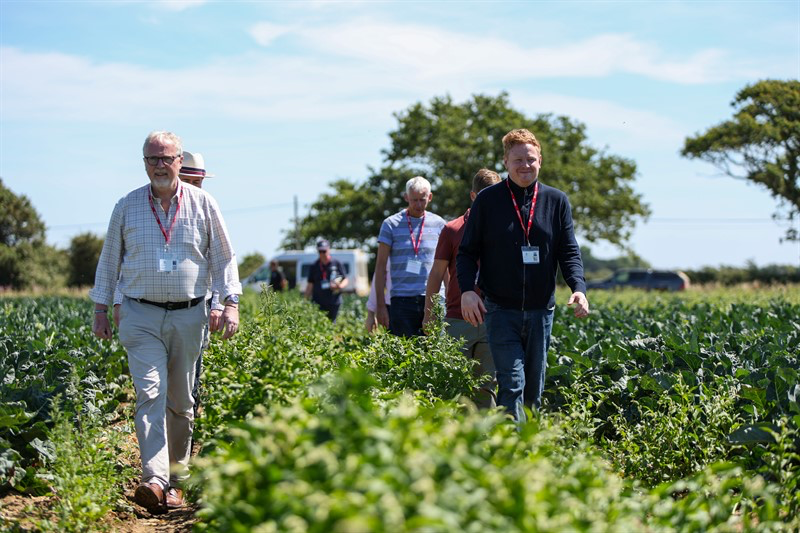 MPs visited Barfoots’ Sefter Farm in West Sussex to hear about the pressures facing UK vegetable growers