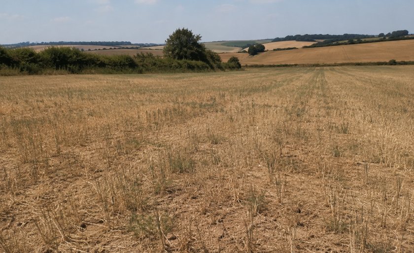 Extreme weather has affected UK crop production and raised concerns over Britain’s food security