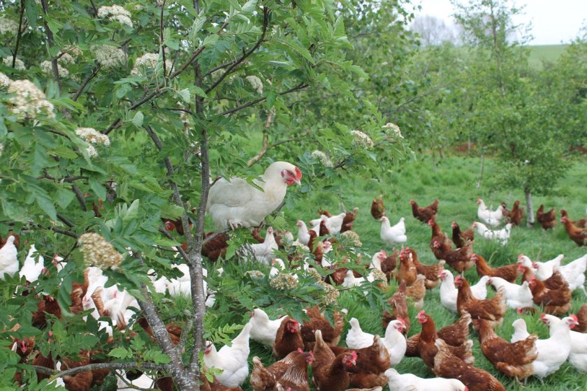 The programme gives farming professionals the freedom to explore a subject that matters to them