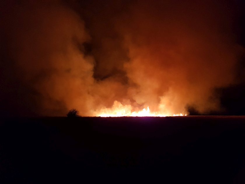 Wildfires on the Gower Commons can damage peat, destroy bird nests and threaten wildlife