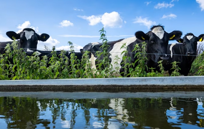 Farmers are being urged to register before a water supply emergency occurs (Photo: South East Water)